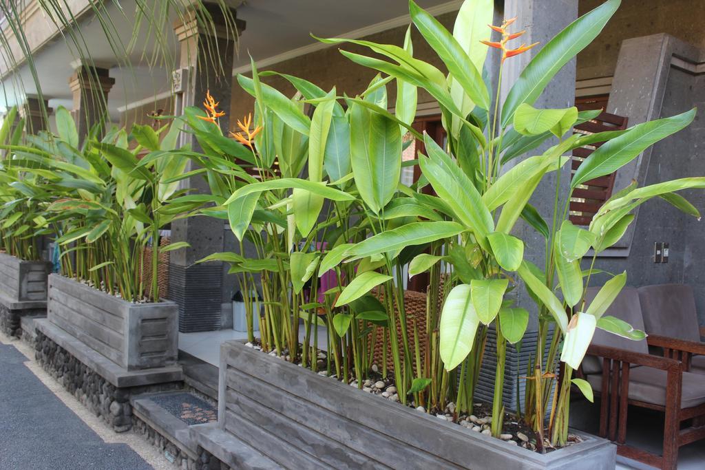 Letos Kubu Homestay Kuta  Exterior photo